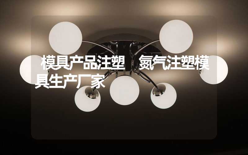模具产品注塑 氮气注塑模具生产厂家
